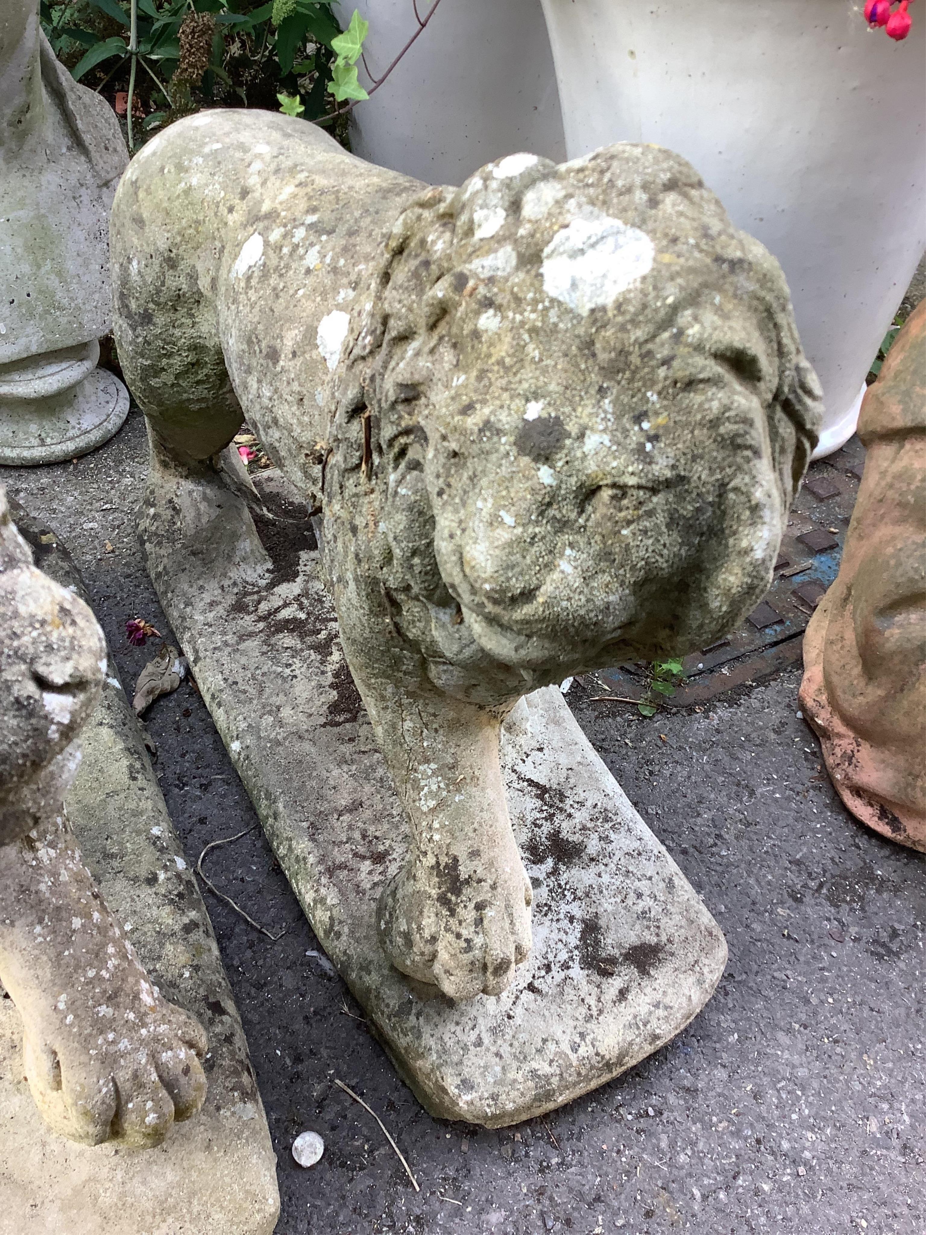 A pair of reconstituted stone standing lion garden ornaments, length 66cm, height 56cm. Condition - fair